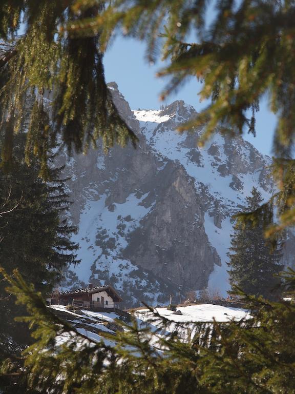 Appartement Alpenresidenz Chiemgau à Schleching Extérieur photo